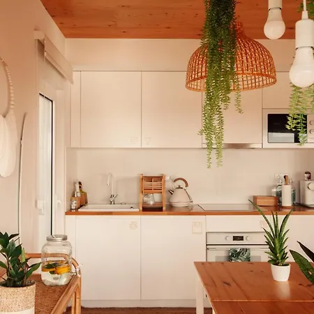 We Surf House *