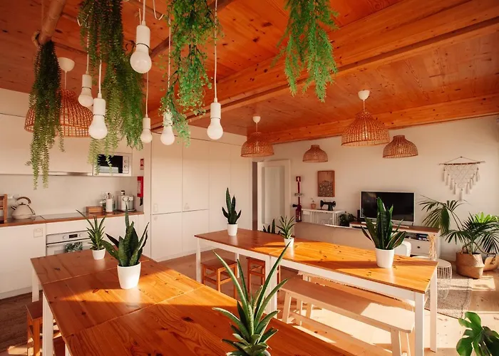 Bed and Breakfast We Surf House